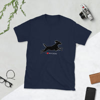 Working Cocker Spaniel