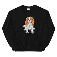 cavalier spaniel