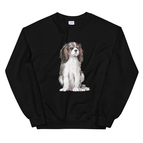 cavalier king charles spaniel