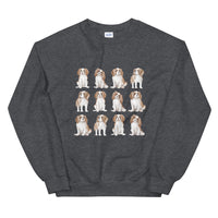 Spaniel Sweatshirt
