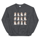 Spaniel Sweatshirt
