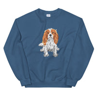 cavalier jumper