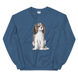 spaniel
