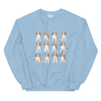 Cavalier Sweatshirt