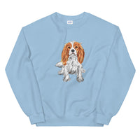 dog jumper