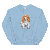 dog jumper
