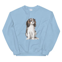 spaniel jumper