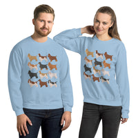 Cocker Spaniel jumper
