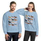 Cocker Spaniel jumper