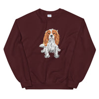 spaniel