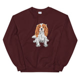 spaniel