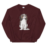 king charles spaniel