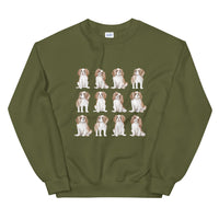 Cavalier Jumper
