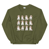 Cavalier Jumper