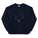 Cocker Spaniel Jumper