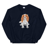 cavalier 