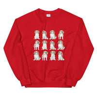 Spaniel Jumper