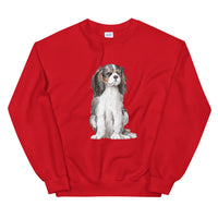 cavalier spaniel
