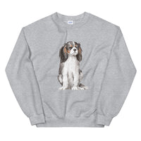 cavalier jumper