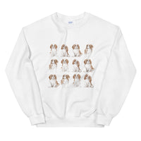Dog Jumper
