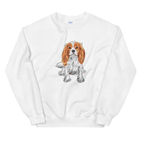 cavalier king charles spaniel
