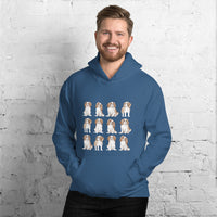King Charles Spaniel