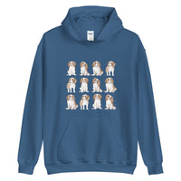 Cavalier Jumper
