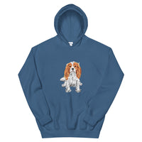 Cavalier hoodie