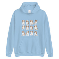 Cavalier Hoodie