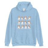 Cavalier Hoodie