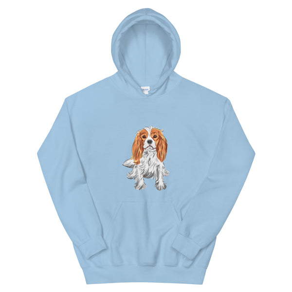 dog hoodie