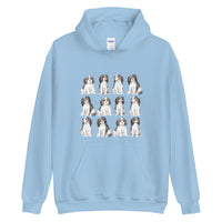 spaniel hoodie