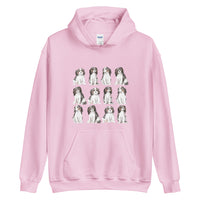 cavalier hoodie