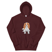 Cavalier Spaniel