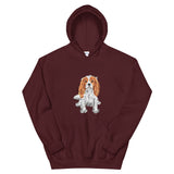 Cavalier Spaniel