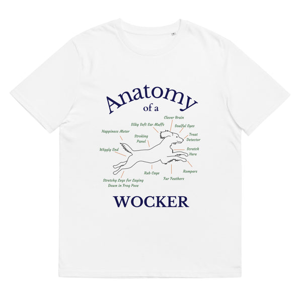 Anatomy of a Wocker