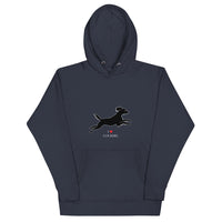 Spaniel