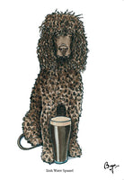 Water Spaniel